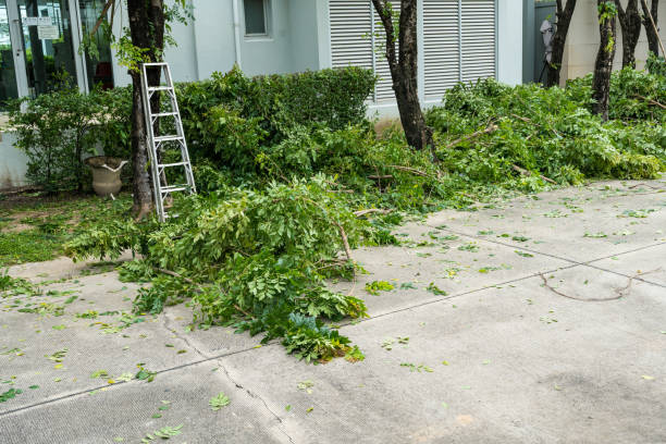 Lawn Irrigation Installation and Maintenance in Fairfield, CA
